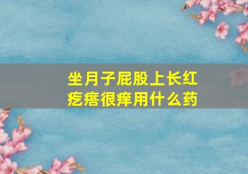 坐月子屁股上长红疙瘩很痒用什么药