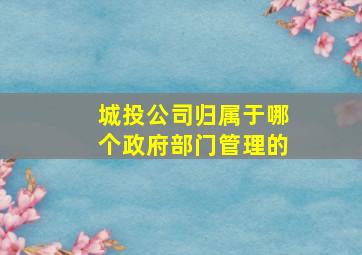 城投公司归属于哪个政府部门管理的