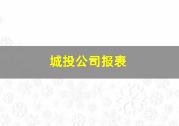 城投公司报表