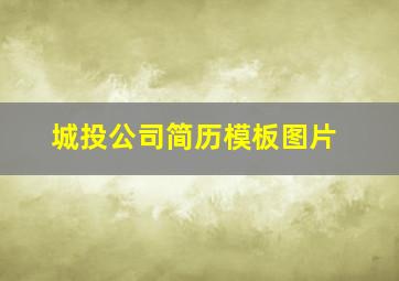 城投公司简历模板图片