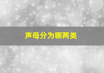 声母分为哪两类