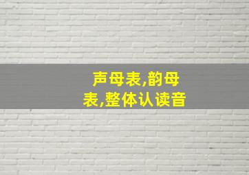 声母表,韵母表,整体认读音