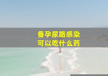 备孕尿路感染可以吃什么药