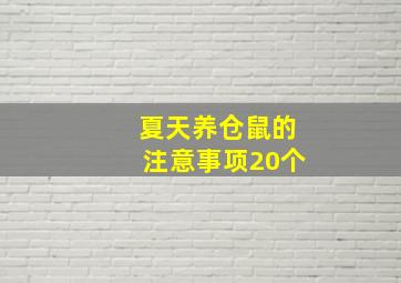 夏天养仓鼠的注意事项20个