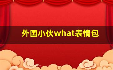 外国小伙what表情包