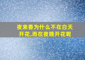 夜来香为什么不在白天开花,而在夜晚开花呢