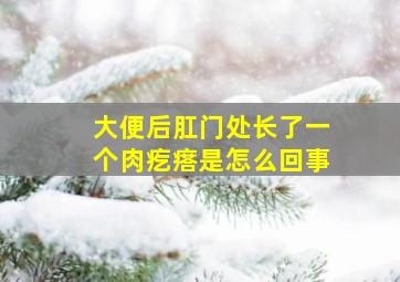 大便后肛门处长了一个肉疙瘩是怎么回事