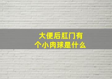 大便后肛门有个小肉球是什么