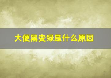 大便黑变绿是什么原因