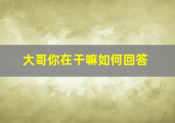 大哥你在干嘛如何回答