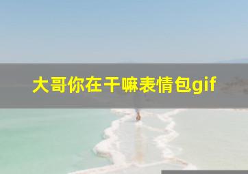 大哥你在干嘛表情包gif