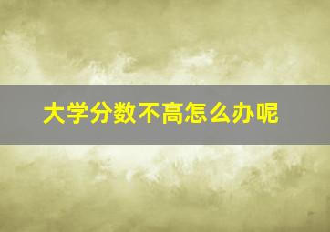 大学分数不高怎么办呢