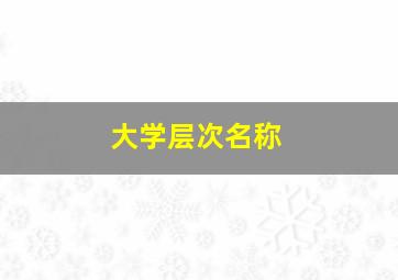 大学层次名称