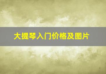 大提琴入门价格及图片