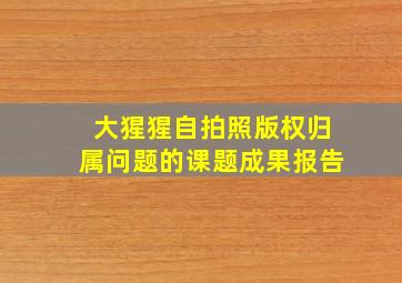 大猩猩自拍照版权归属问题的课题成果报告