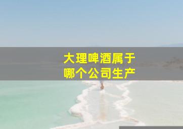 大理啤酒属于哪个公司生产