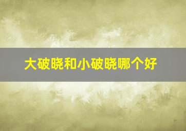 大破晓和小破晓哪个好