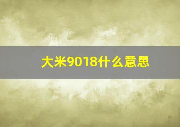 大米9018什么意思