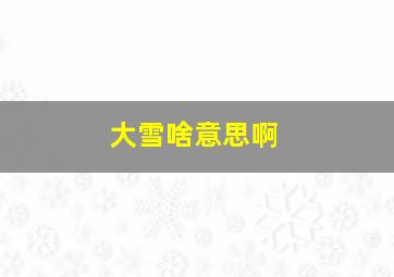 大雪啥意思啊