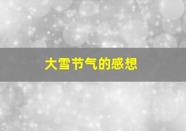 大雪节气的感想