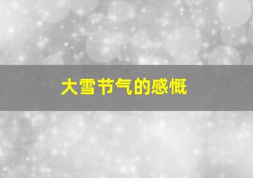 大雪节气的感慨