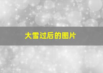 大雪过后的图片