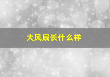 大风扇长什么样