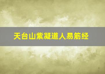 天台山紫凝道人易筋经