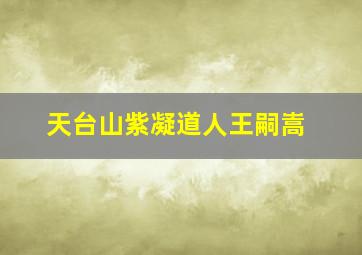 天台山紫凝道人王嗣嵩