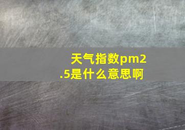 天气指数pm2.5是什么意思啊