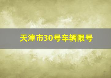 天津市30号车辆限号