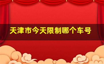 天津市今天限制哪个车号