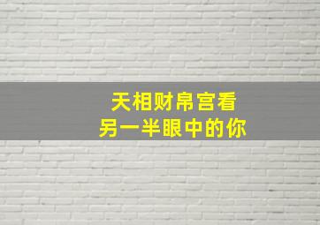 天相财帛宫看另一半眼中的你