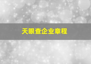 天眼查企业章程