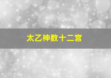 太乙神数十二宫