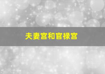 夫妻宫和官禄宫