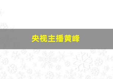 央视主播黄峰