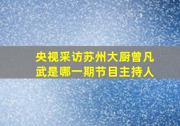 央视采访苏州大厨曾凡武是哪一期节目主持人