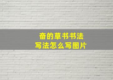 奋的草书书法写法怎么写图片