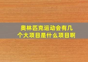 奥林匹克运动会有几个大项目是什么项目啊