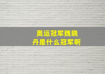 奥运冠军魏晓丹是什么冠军啊