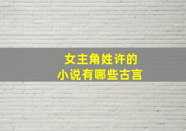 女主角姓许的小说有哪些古言