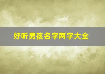 好听男孩名字两字大全