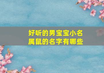 好听的男宝宝小名属鼠的名字有哪些