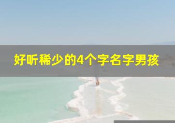 好听稀少的4个字名字男孩