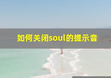 如何关闭soul的提示音