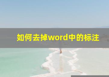 如何去掉word中的标注