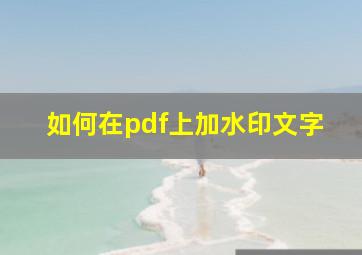 如何在pdf上加水印文字