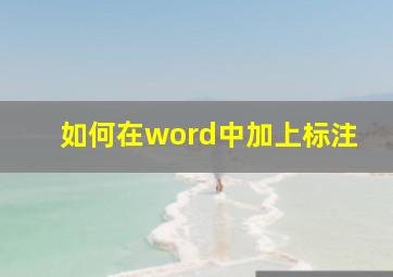 如何在word中加上标注