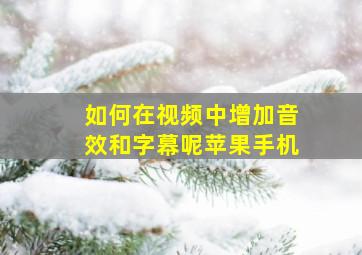 如何在视频中增加音效和字幕呢苹果手机